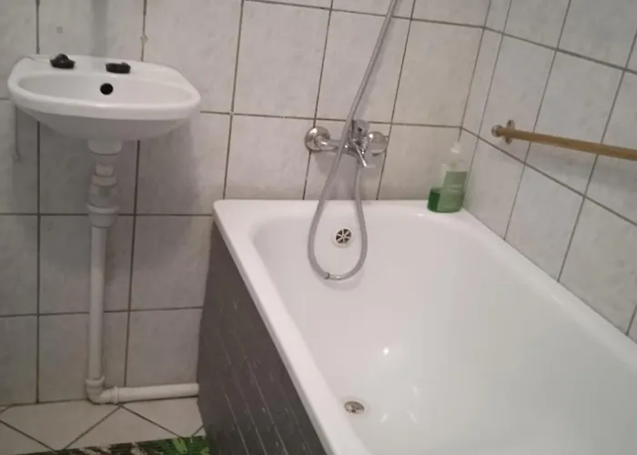 Goscinne Gniazdo شقة Będzin